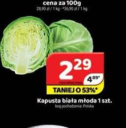 Kapusta biała młoda promocja w Delfin