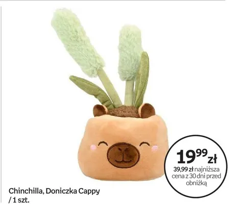 Maskotka Chinchilla Doniczka Cappy promocja w Empik