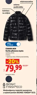 Kurtka pikowana męska promocja w Lidl