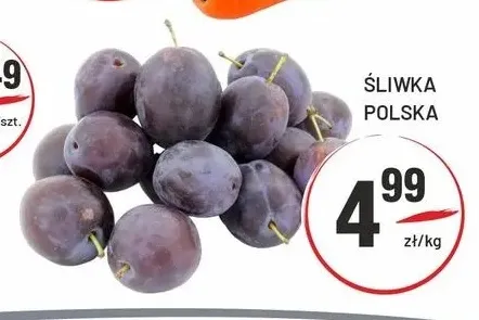 Śliwka polska promocja w Sedal