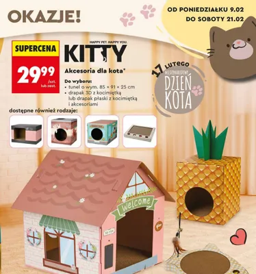 Drapak kartonowy płaski z kocimiętką promocja w Biedronka