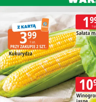 Kukurydza promocja w Leclerc
