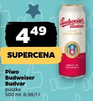 Piwo Budvar puszka promocja w Netto