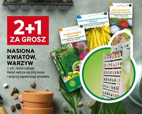 Nasiona kwiatów promocja w Stokrotka