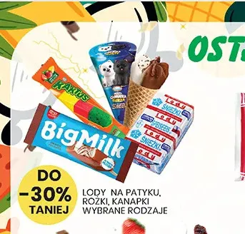 Lody na patyku rożki kanapki promocja w Wafelek