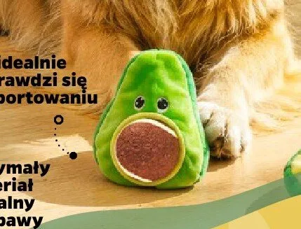 Zabawka dla zwierząt awokado z piłką promocja w Netto