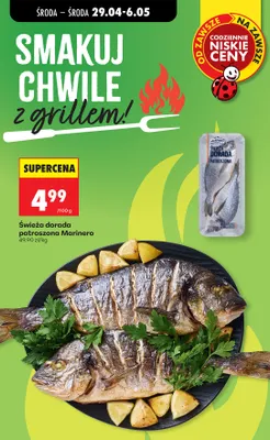 Świeża dorada patroszona Marinero promocja w Biedronka