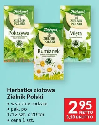 Herbatka ziołowa Zielnik Polski Herbapol wybrane rodzaje pak. po 1/12 szt. x 20 tor. promocja w Makro