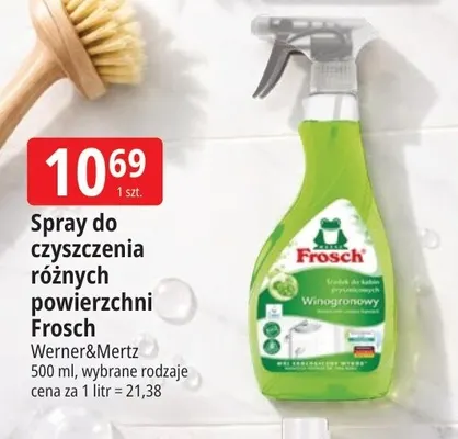 Spray do czyszczenia różnych powierzchni Frosch promocja w Leclerc