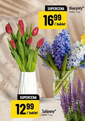 Tulipany promocja w POLOmarket