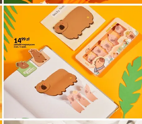 Zakładki magnetyczne Cappy Classes promocja w Empik