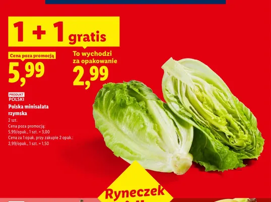 Minisałata rzymska polska Ryneczek Lidla promocja w Lidl