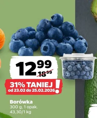 Borówka promocja w Netto