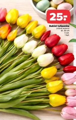 Bukiet tulipanów promocja w Netto