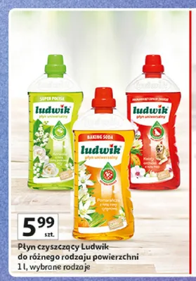 Płyn uniwersalny Kwiaty orchidei Ludwik promocja w Auchan