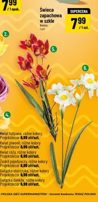 Kwiat piwonii różne kolory promocja w POLOmarket