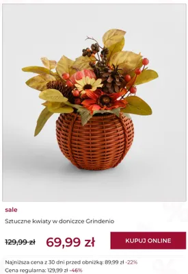Sztuczne kwiaty w doniczce Grindenio home & you promocja w home&you