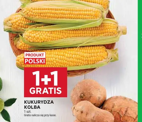 Kukurydza kolba promocja w Stokrotka
