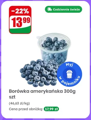 Borówka amerykańska promocja w Dino