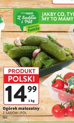 Ogórek małosolny Z Sadów I Pół luz promocja w Intermarche