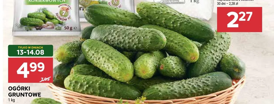 Ogórki gruntowe promocja w Stokrotka