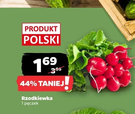 Rzodkiewka polska promocja w Netto