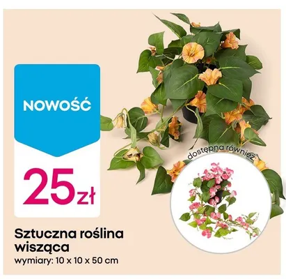 Sztuczna roślina wisząca 10x10x50cm promocja w Pepco