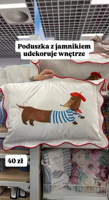 Poduszka z jamnikiem promocja w Pepco