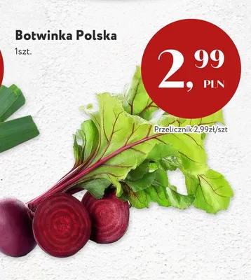 Botwinka polska promocja w Market Point