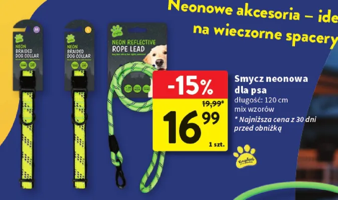 Smycz neonowa dla psa promocja w Intermarche