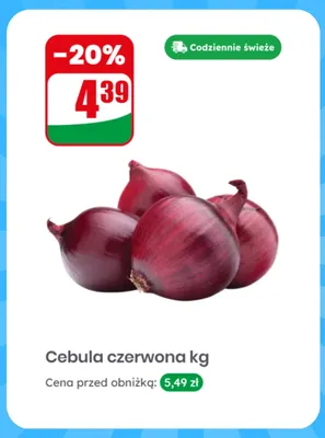 Cebula czerwona promocja w Dino
