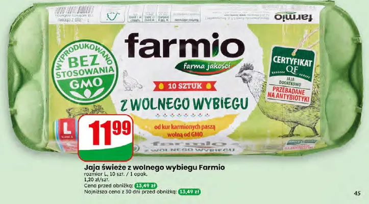 Jaja świeże z wolnego wybiegu Farmio 10-pak promocja w Dino