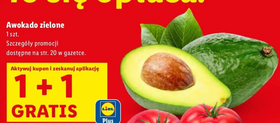 Awokado zielone 1 szt. 1+1 GRATIS Lidl promocja w Lidl