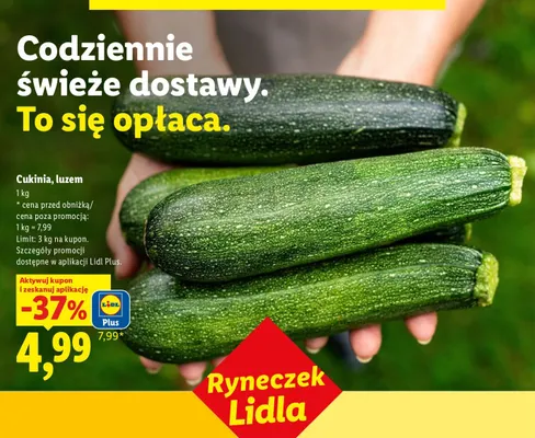 Cukinia luzem Ryneczek Lidla promocja w Lidl
