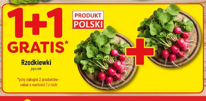 Rzodkiewki pęczek promocja w POLOmarket