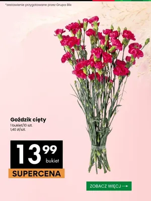 Goździk cięty 10-pak promocja w Delikatesy Centrum