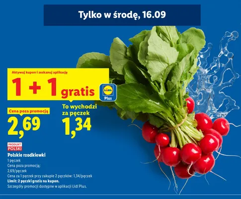 Rzodkiewki polskie promocja w Lidl