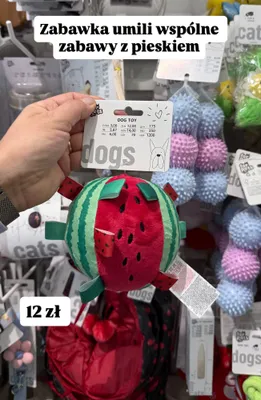 Zabawka pluszowa dla psa promocja w Pepco