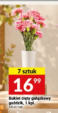 Bukiet cięty gałązkowy goździk promocja w Twój Market