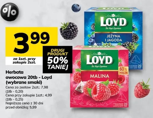 Herbata owocowa Loyd malina promocja w Hitpol