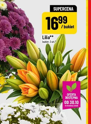 Lilia promocja w POLOmarket