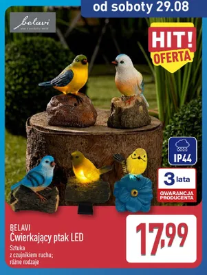 Ćwierkający ptak LED Belavi promocja w Aldi