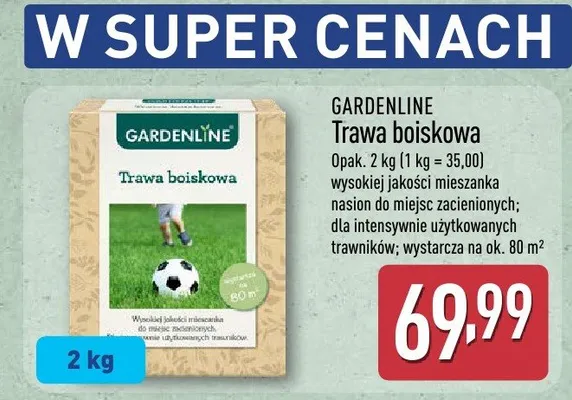 Trawa pampasowa GARDEN LINE promocja w Aldi