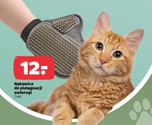 Rękawica do pielęgnacji zwierząt promocja w Netto