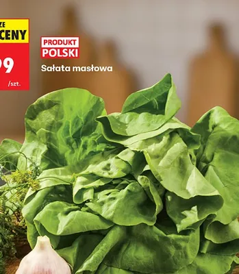 Sałata masłowa polska promocja w Biedronka