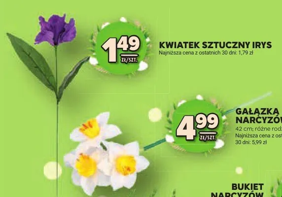 Gałązka narcyzów różne rodzaje promocja w Stokrotka