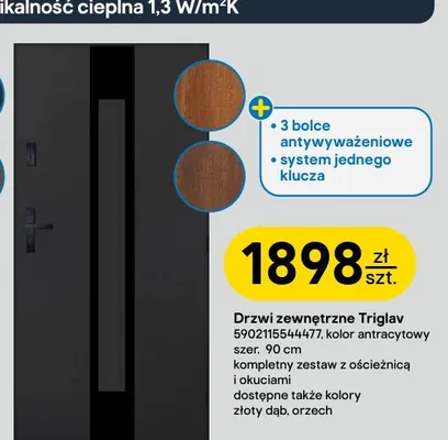 Drzwi zewnętrzne Triglav Pantor promocja w Castorama