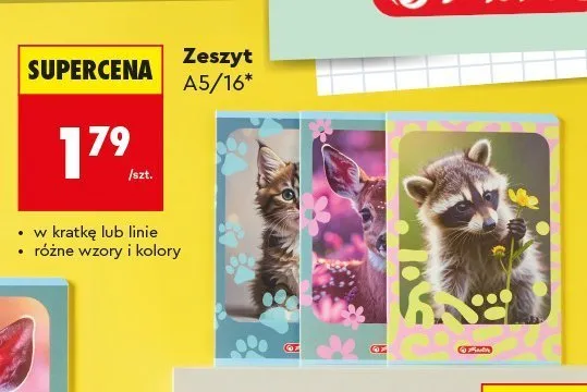Zeszyt A5/16 Herlitz promocja w Biedronka