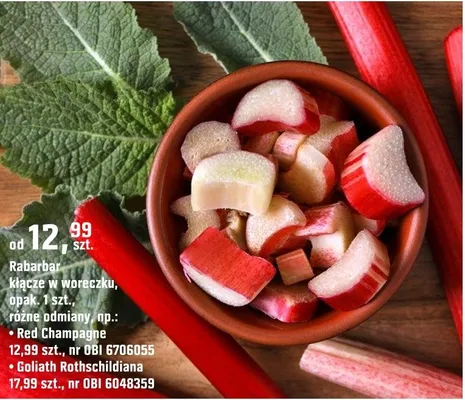 Rabarbar kłącze w woreczku, różne odmiany promocja w OBI