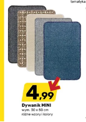 Dywanik Mini promocja w Bricomarche